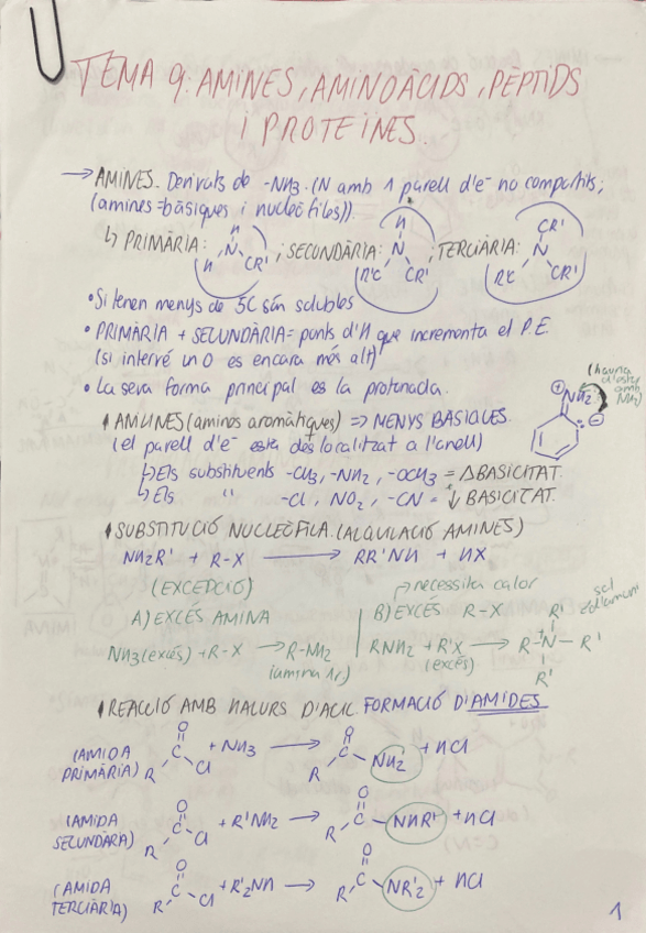 Miniatura del documento TEMA-9-AMINES-AMINOACIDS-PEPTIDS-I-PROTEINES.pdf