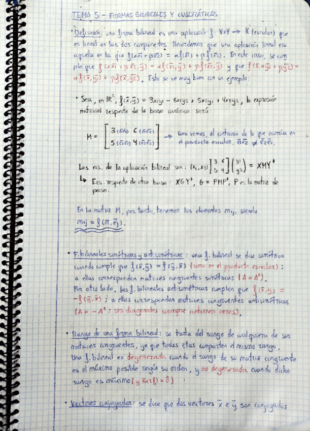 Miniatura del documento Tema-5-Formas-Bilineales-y-Cuadraticas.pdf