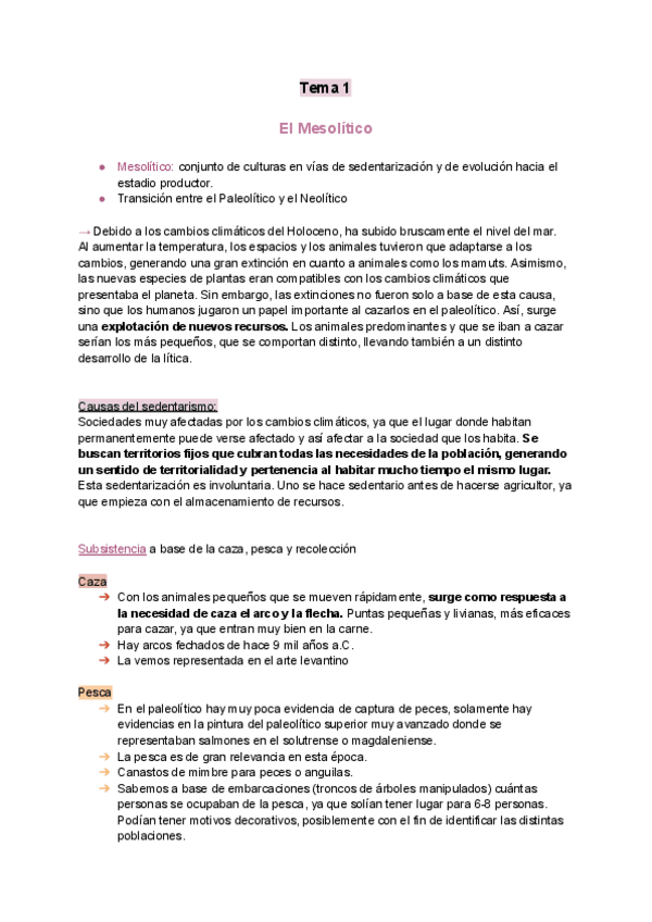 Miniatura del documento Resumen-Neolitico.pdf