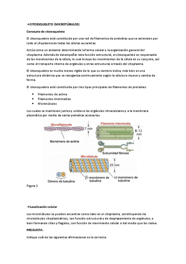 Miniatura del documento leccion-seminario-citoesqueleto.pdf