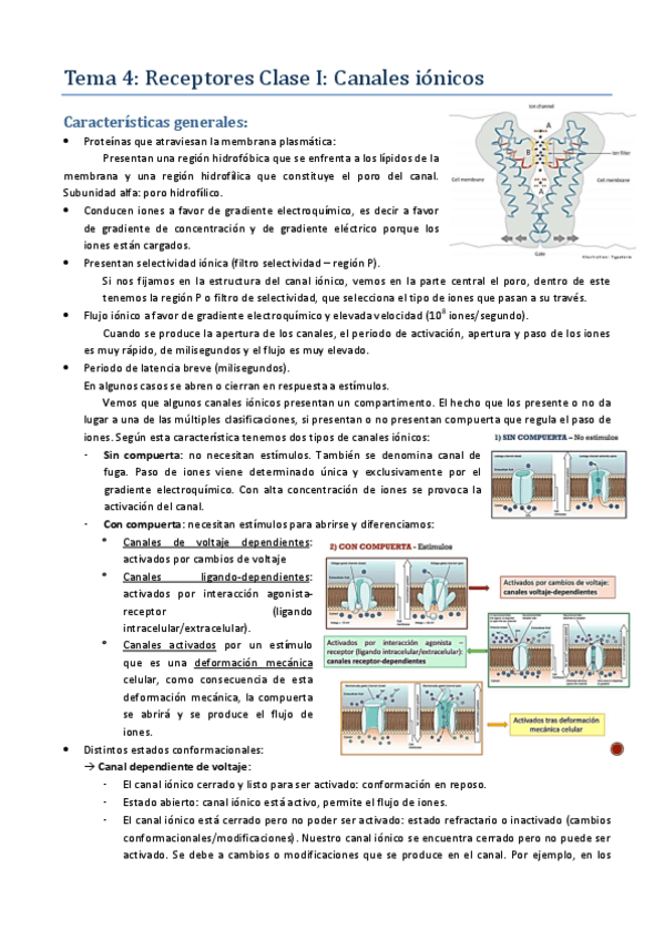 Miniatura del documento Tema 4.pdf