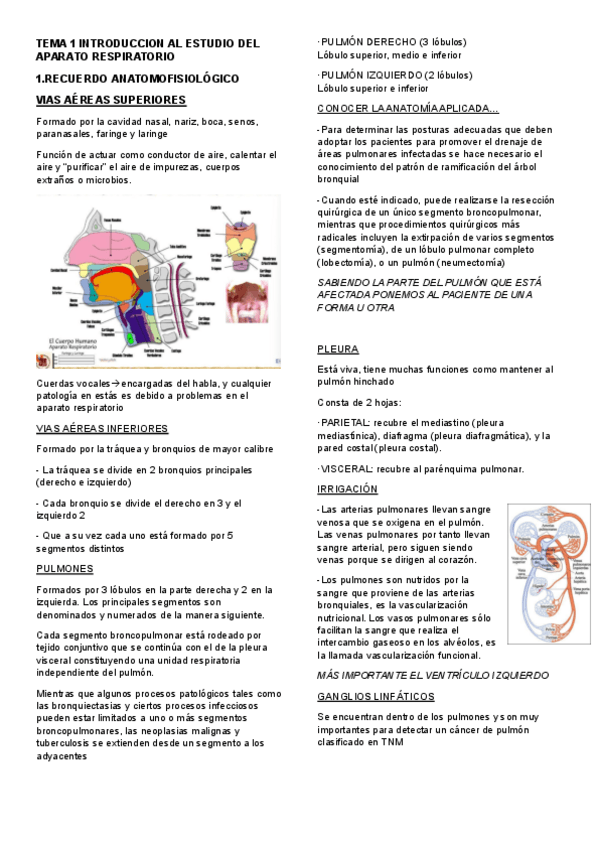Miniatura del documento APUNTES-TEMAS-TODOS.pdf