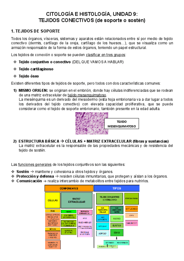 Miniatura del documento CITOLOGIA-E-HISTOLOGIA-RESUMEN-UNIDAD-9.pdf