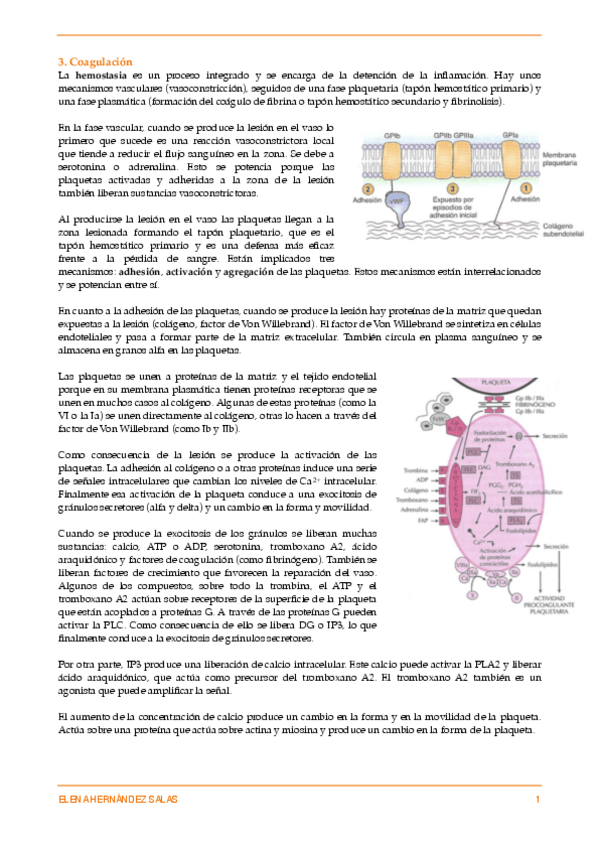 Miniatura del documento 3. Coagulación.pdf