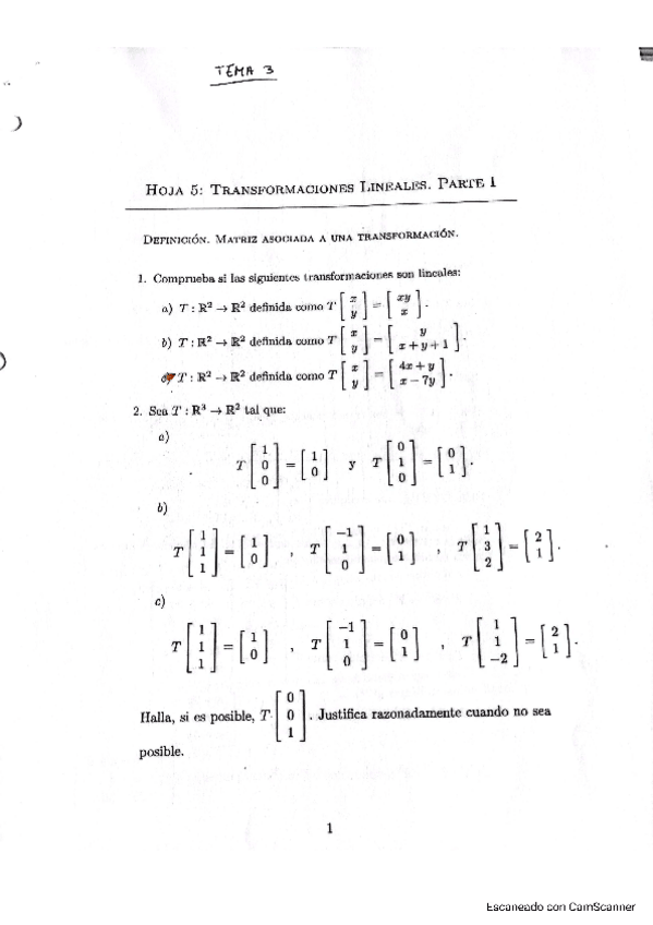 Miniatura del documento ALGEBRA-Tema-3-Ejers-RESUELTOS.pdf