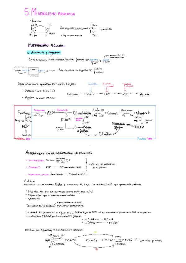 Miniatura del documento 5-fructosemias.pdf