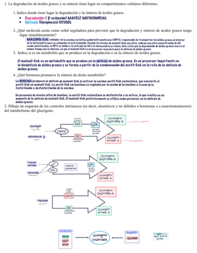 Miniatura del documento Examen-Desarrollo-BQ2-CORREGIDO.pdf