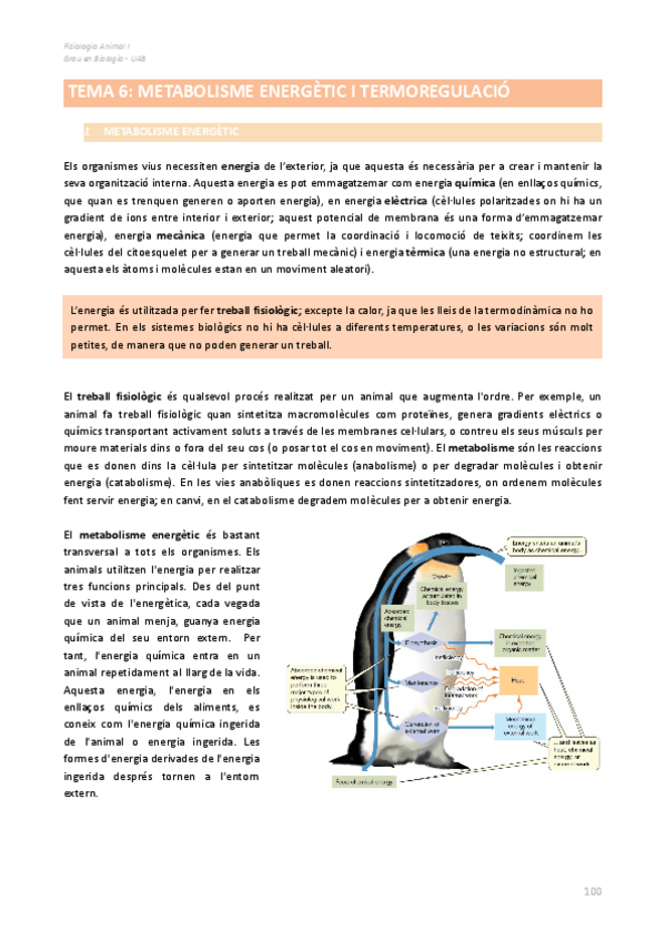 Miniatura del documento Fisiologia-Animal-I-Parcial-2.pdf