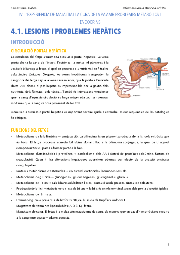 Miniatura del documento IVProblemesmetabolics.pdf