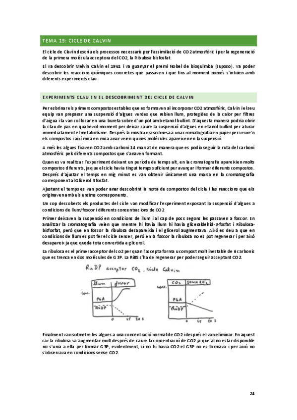 Miniatura del documento T19-Cicle-de-Calvin.pdf