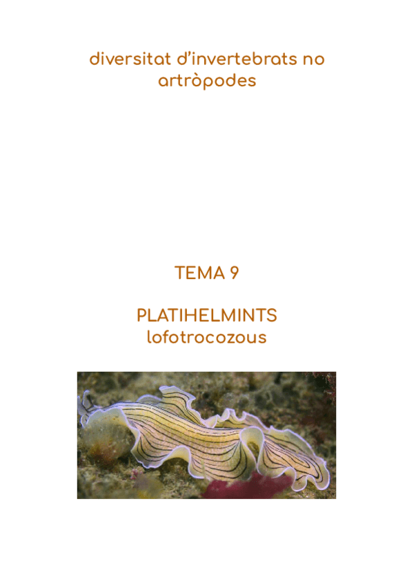 Miniatura del documento apunts-2n-parcial-zoo-temes-9-14.pdf