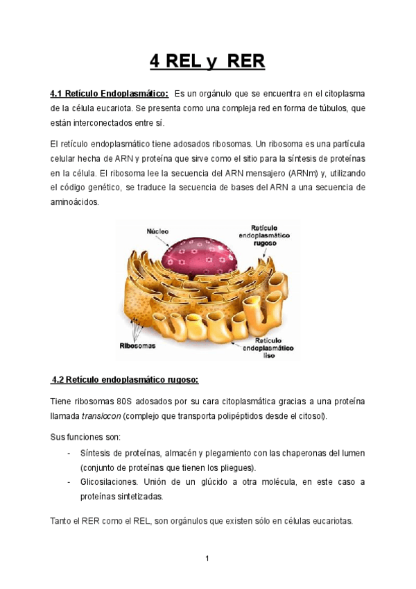 Miniatura del documento REL-y-RER-Repaso.pdf