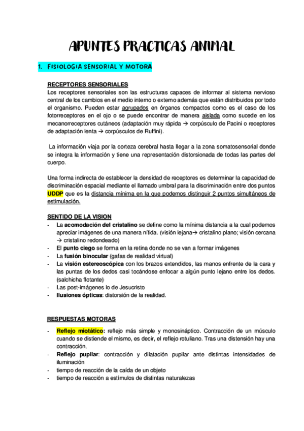 Miniatura del documento APUNTES-PRACTICAS.pdf
