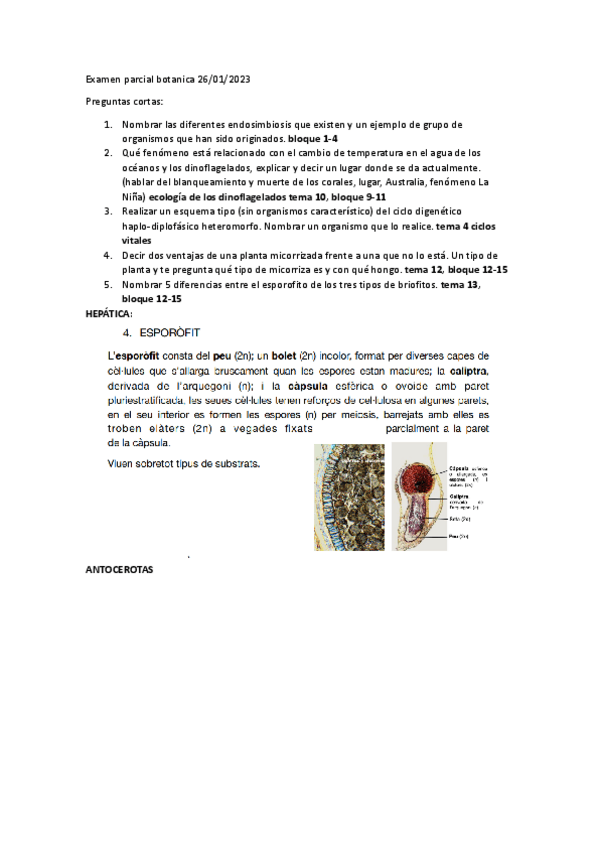 Miniatura del documento examenes-botanica-1Q-enero-y-junio.pdf