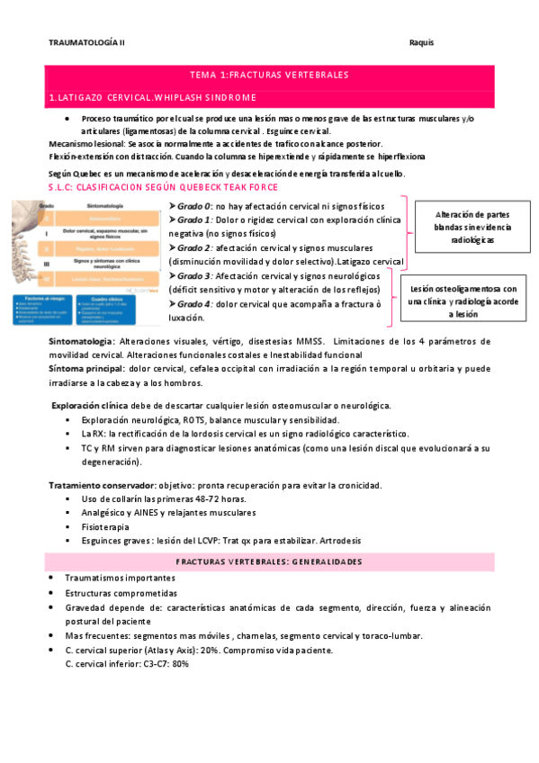 Miniatura del documento Raquis.pdf