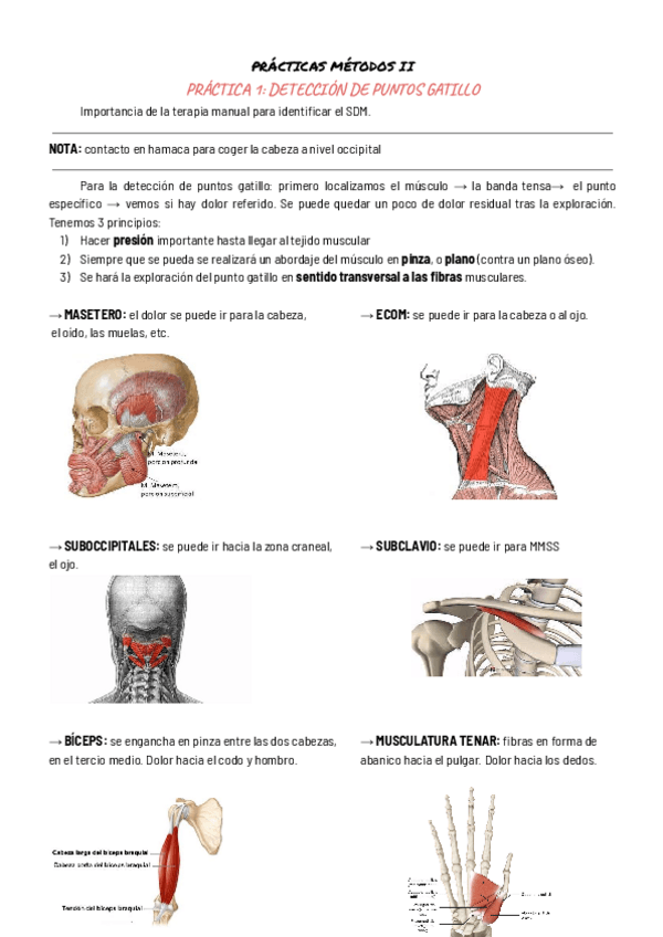 Miniatura del documento PRACTICAS-METODOS-II.pdf