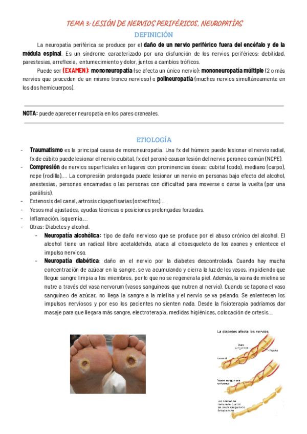 Miniatura del documento TEMA-3-NEUROPATIAS.pdf