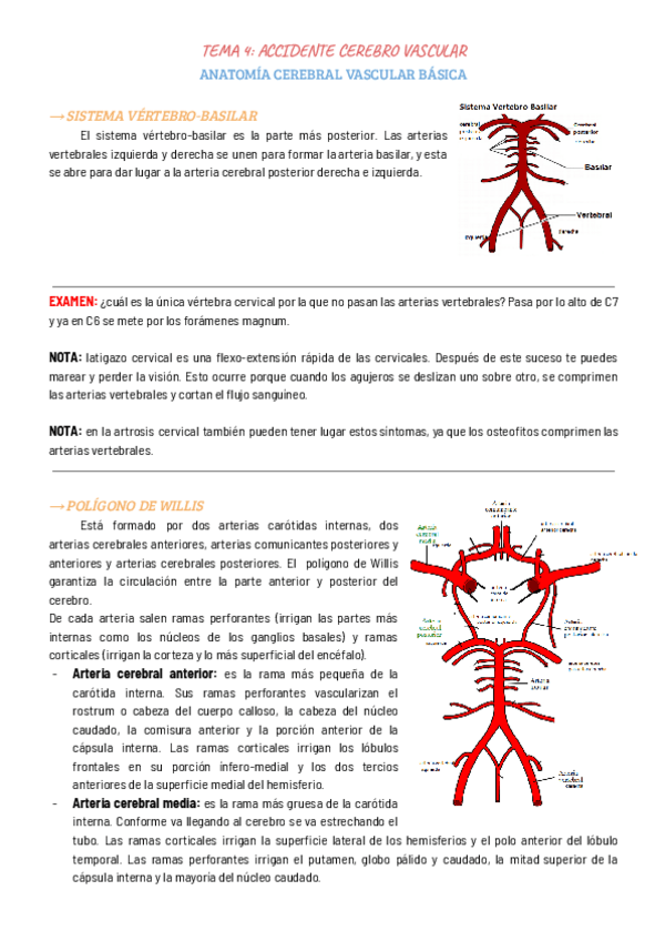 Miniatura del documento TEMA-4-NEURO-ACV.pdf