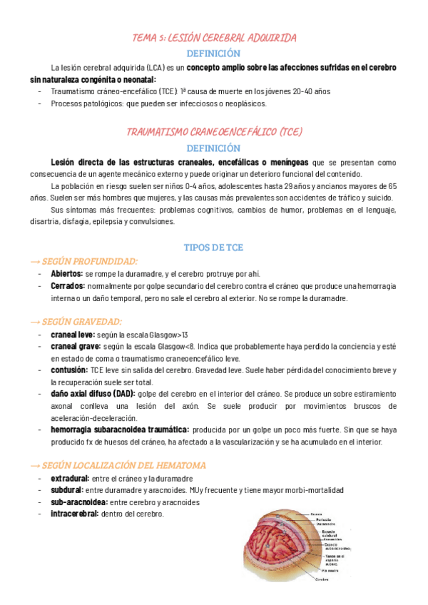 Miniatura del documento TEMA-5-LESION-CEREBRAL-ADQUIRIDA.pdf