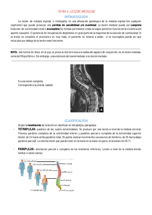 Miniatura del documento TEMA-6-LESION-MEDULAR.pdf