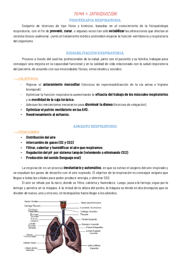 Miniatura del documento ESPECIALIDADES-II-PERETE.pdf