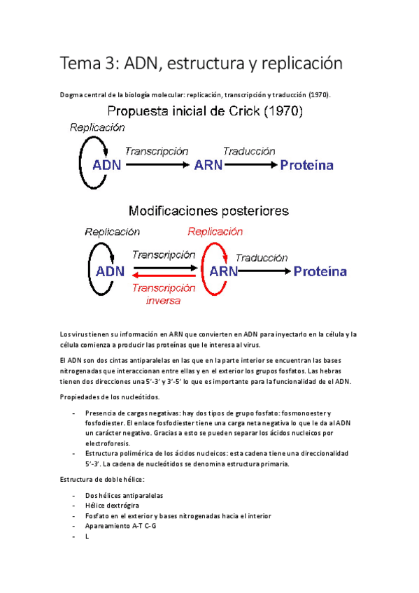 Miniatura del documento Tema 3.pdf