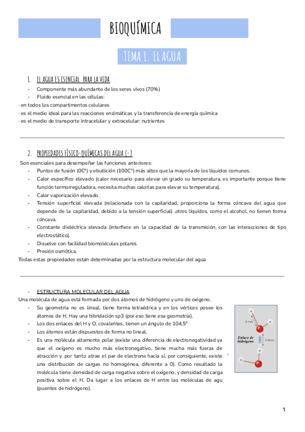 Miniatura del documento Bioquimica-todo..pdf