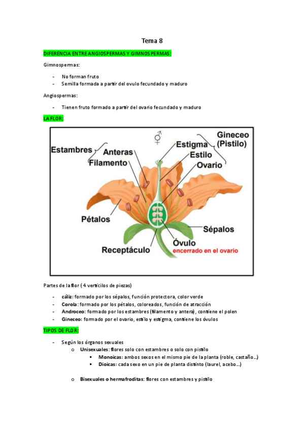 Miniatura del documento apuntes-botanica-2o-parcial.pdf