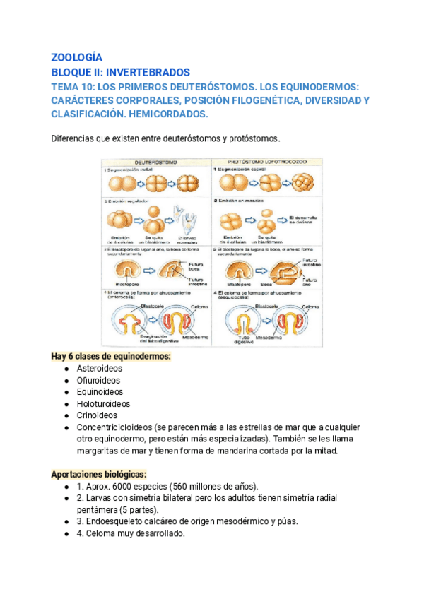 Miniatura del documento TEMA-10-ZOO.pdf