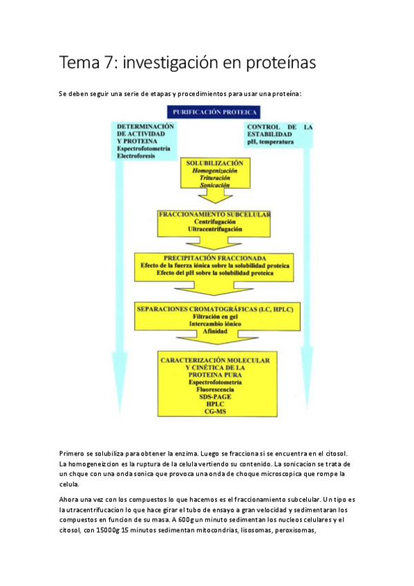 Miniatura del documento Tema 7.pdf