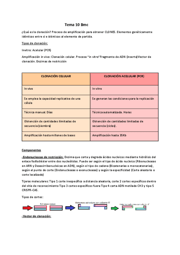 Miniatura del documento tema-10-bmc-1.pdf