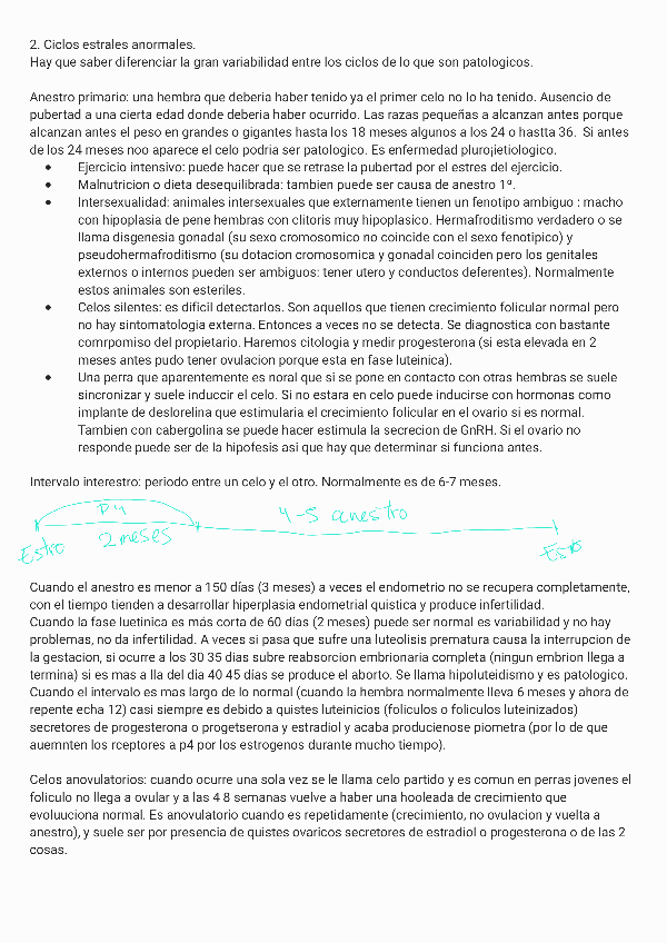 Miniatura del documento Carnivoros-apuntes-de-clase.pdf