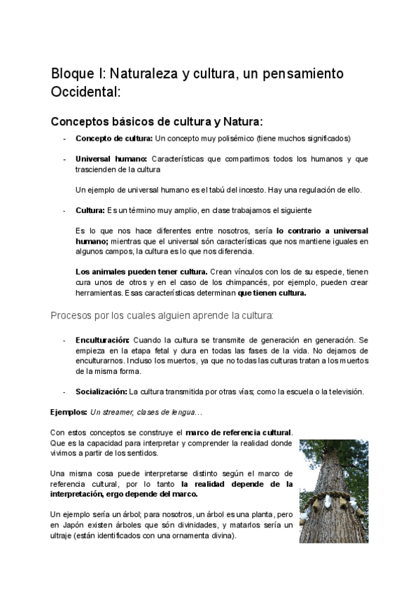 Miniatura del documento Apuntes-de-examen-final-cultura-y-natura.pdf