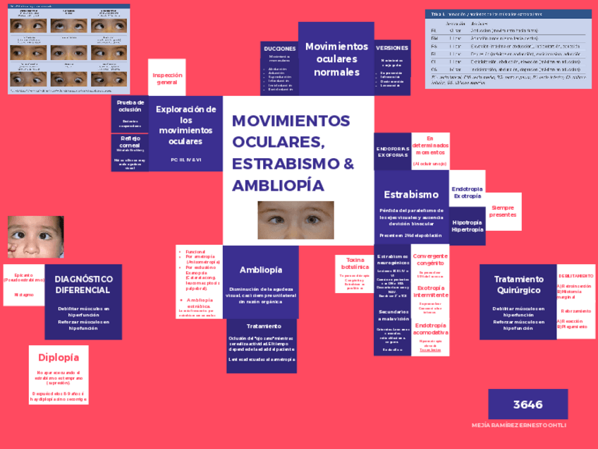 Miniatura del documento Movimientos-oculares-y-estrabismo.pdf
