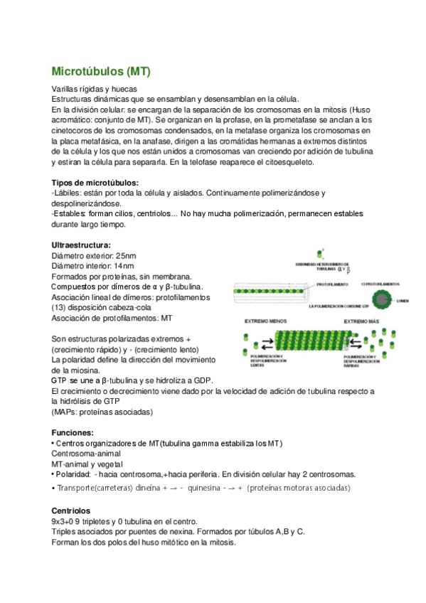 Miniatura del documento Preguntas-cortas-examen-cito-22-23.pdf