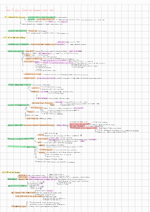Miniatura del documento Tema-5.pdf