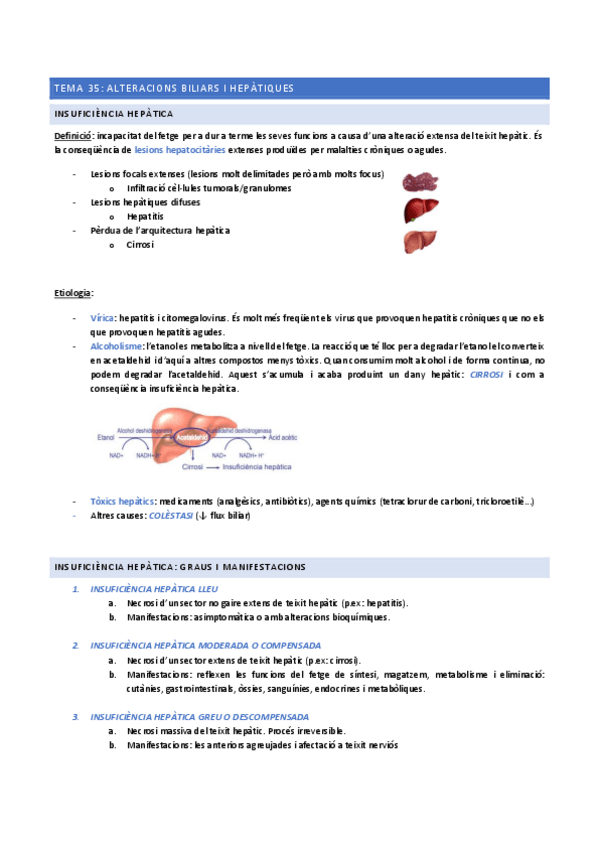 Miniatura del documento TEMA-35-alteracions-biliars-i-hepatiques.pdf