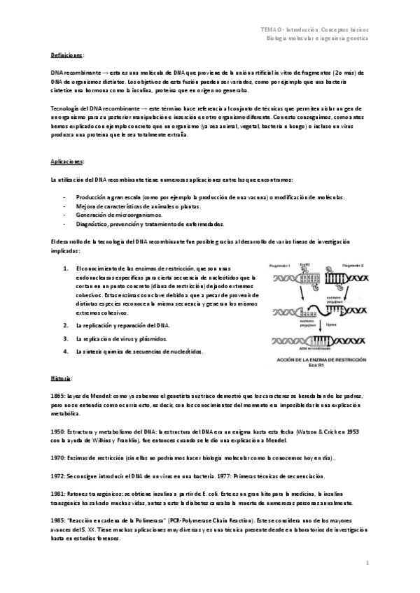 Miniatura del documento TEMA-0-Introduccion.-Conceptos-basicos.pdf