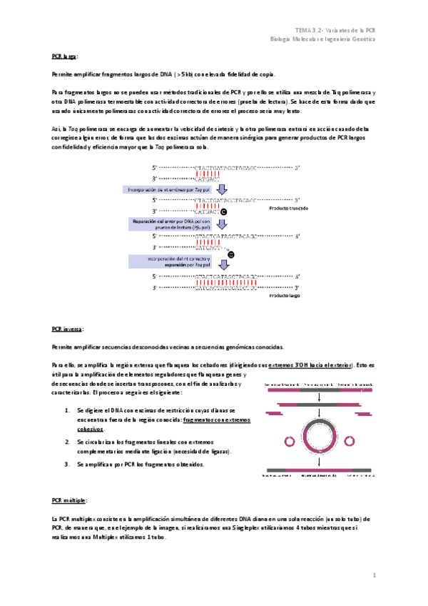 Miniatura del documento TEMA-3.2-Variantes-de-la-PCR.pdf