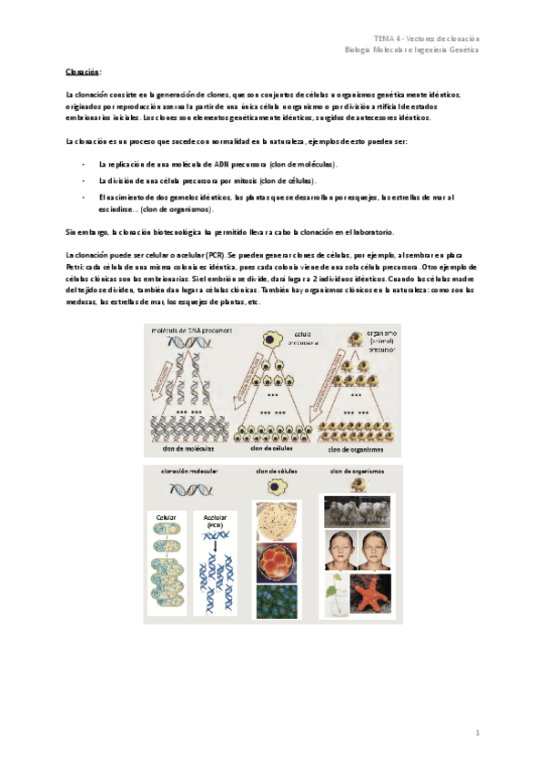 Miniatura del documento TEMA-4-Vectores-de-clonacion.pdf