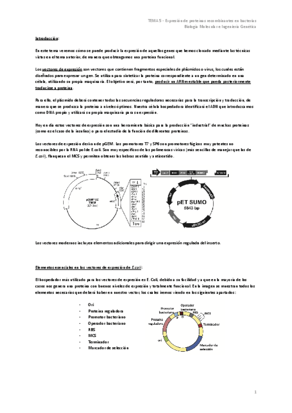 Miniatura del documento TEMA-5-Expresion-de-proteinas-recombinantes-en-bacterias.pdf