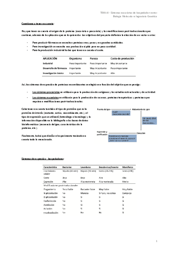 Miniatura del documento TEMA-6-Sistemas-eucariotas-de-hospedador-vector.pdf