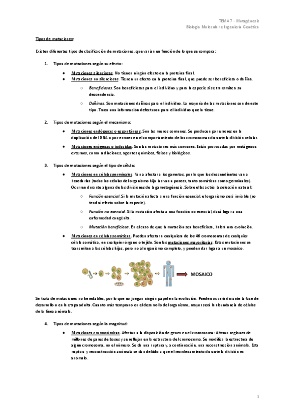 Miniatura del documento TEMA-7-Mutagenesis.pdf