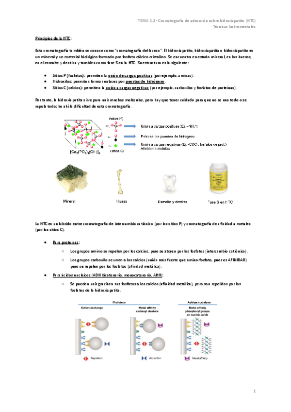 Miniatura del documento TEMA-4.2-Cromatografia-de-adsorcion-sobre-hidroxiapatito-HTC.pdf