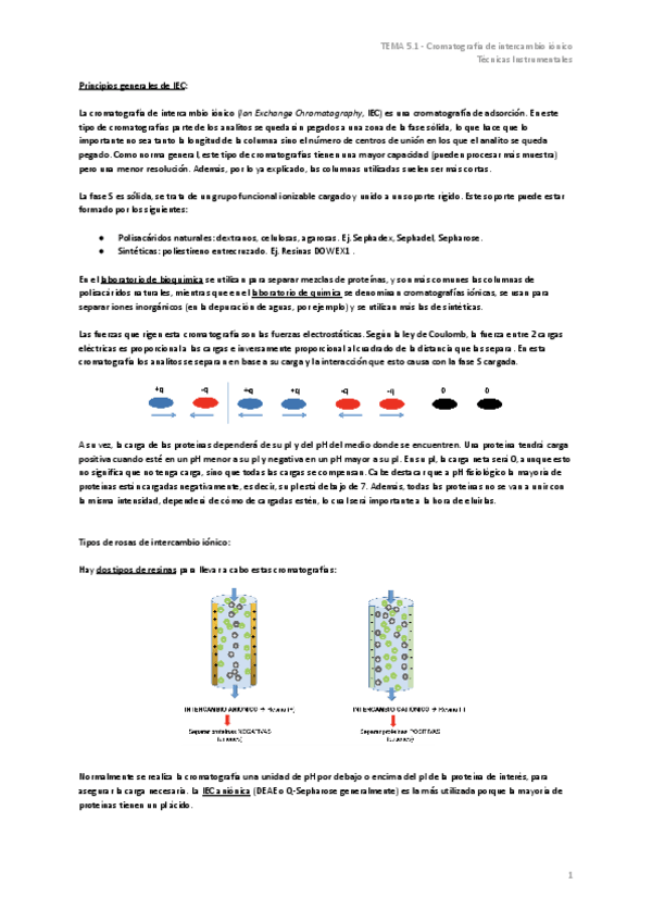 Miniatura del documento TEMA-5.1-Cromatografia-de-intercambio-ionico.pdf