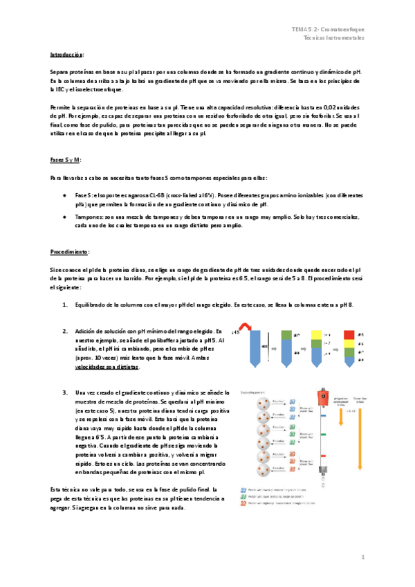 Miniatura del documento TEMA-5.2-Cromatoenfoque.pdf
