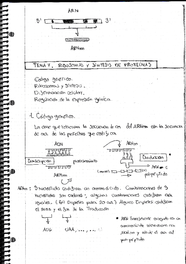 Miniatura del documento BBPF2.pdf