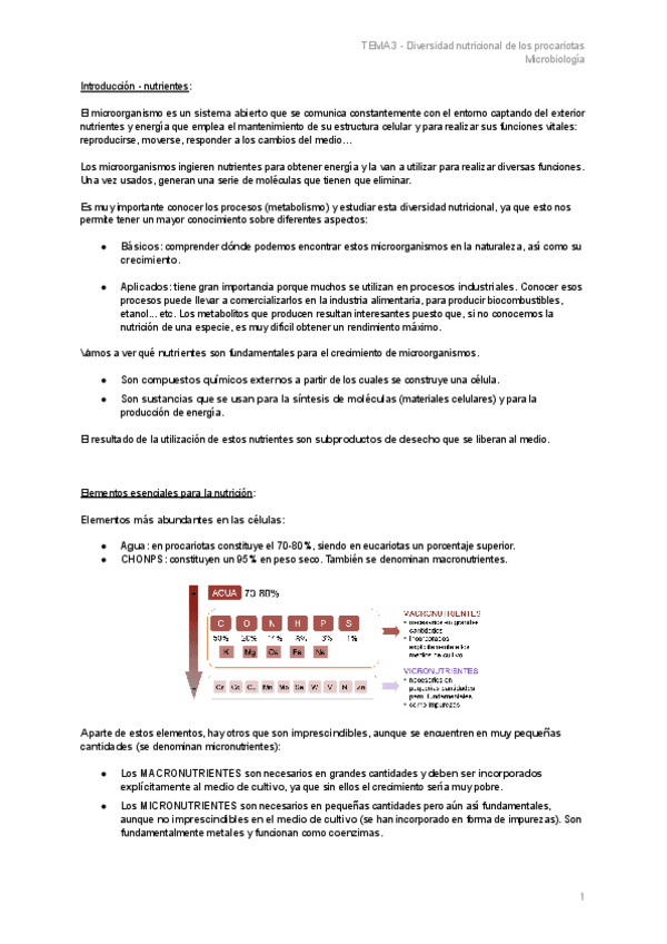 Miniatura del documento TEMA-3-Diversidad-nutricional-de-los-procariotas.pdf