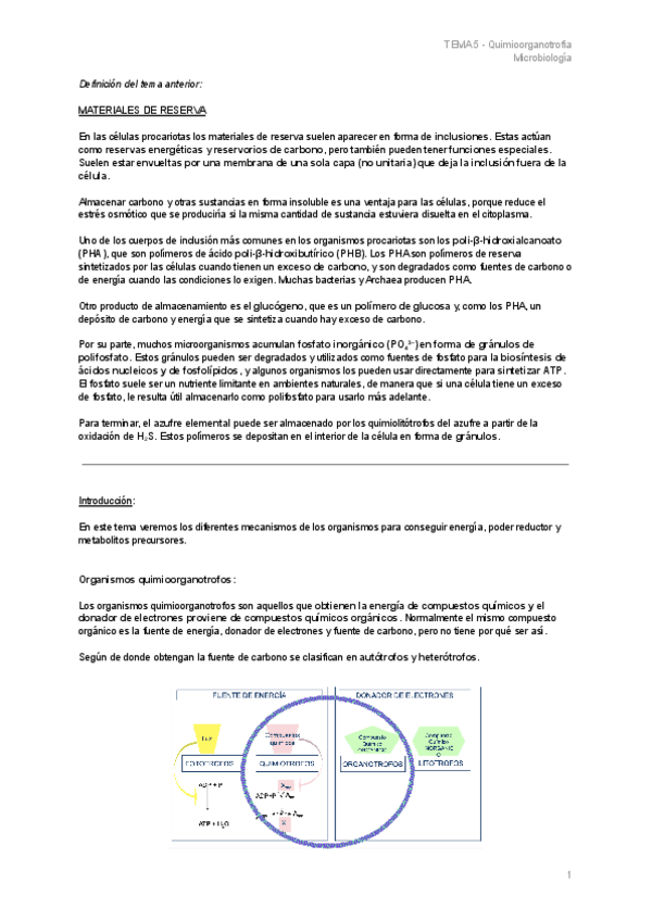 Miniatura del documento TEMA-5-Quimioorganotrofia.pdf