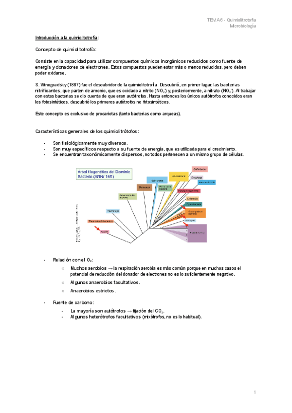Miniatura del documento TEMA-6.1-Quimiolitrotofia.pdf